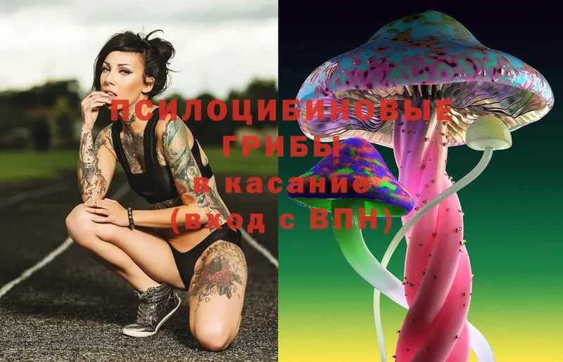 Псилоцибиновые грибы MAGIC MUSHROOMS  кракен ССЫЛКА  Салават 