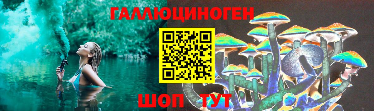 Псилоцибиновые грибы мицелий Салават