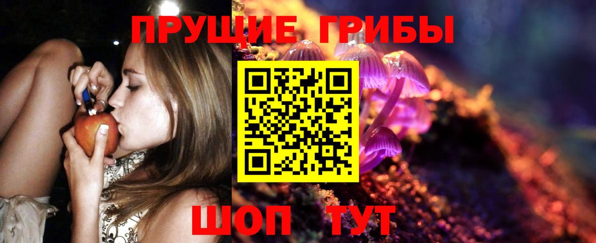 Салават  Псилоцибиновые грибы прущие грибы  Вход с VPN 